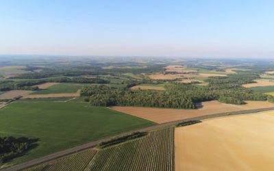 Cérèsia et le Crédit Agricole du Nord Est signent un contrat de financement syndiqué