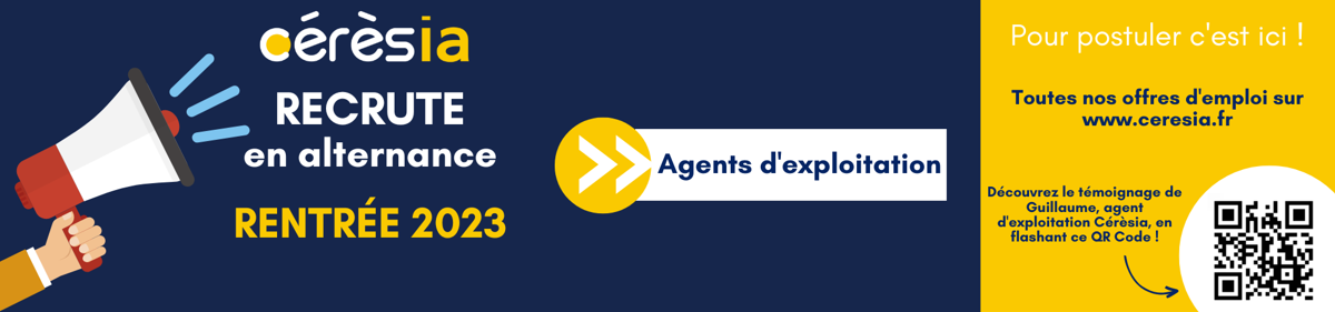Alternance