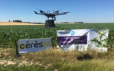 Tests épandage trichogrammes Tprotect Artech’drone