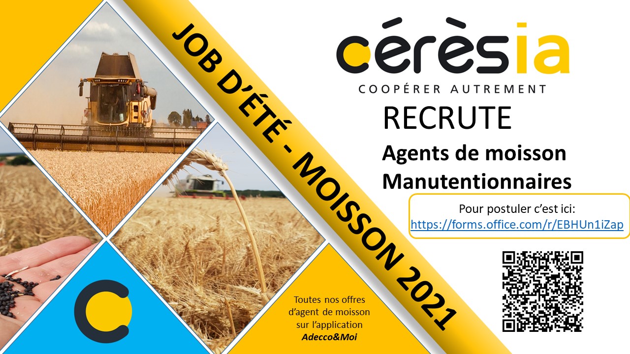 Recrutement moisson2021 affiche